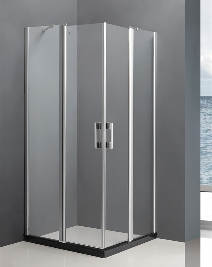 Shower Door 527