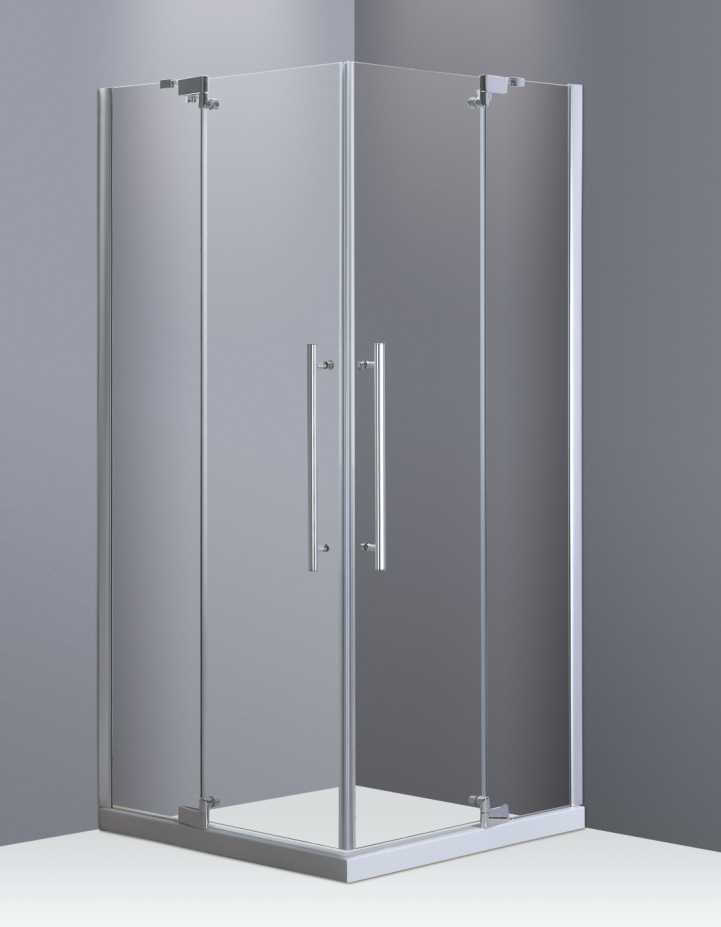 Shower Door 528