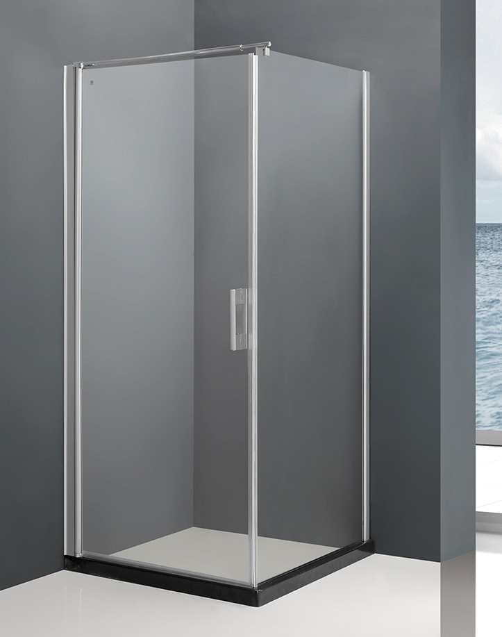 Shower Door 529